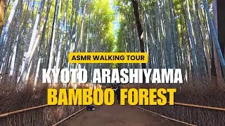 ASMR Walking Tour Arashiyama Kyoto Bamboo Forest Japan | No Talking POV