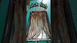 stick fish