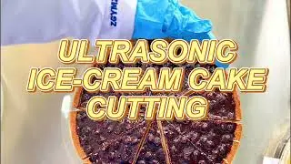 How to cut an ice cream cake into slices -- Ultrasonic Cake Cutting Equipment