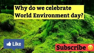 Why do we celebrate World Environment day, Speech on World Environment day, Essay,paragraph writing