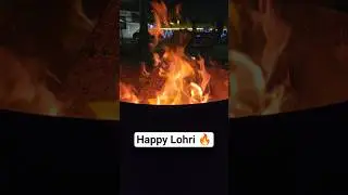 Lohri vibes only ✨🔥| Bonfire nights & Lohri lights | #manjumaakirasoi
