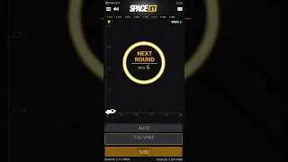play spacexy in bloxflip