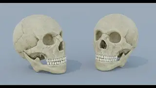Skull retopo uv textures Blender 2.9 timelapse