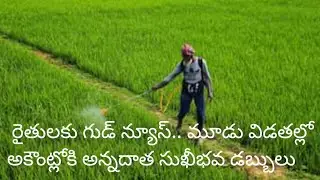 Annadata Sukhibhava Scheme update 6 January 2025