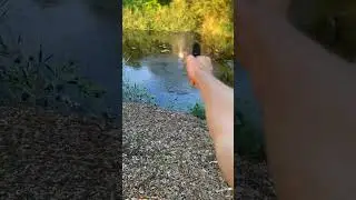 Shooting the Remington rm380