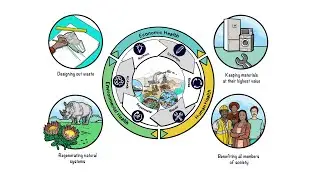Intro to the Circular Economy in South Africa