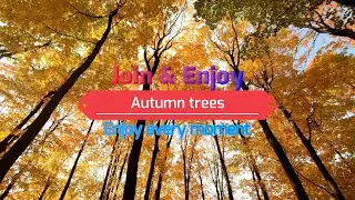 Meditation music for deep sleep and relaxation / Музыка для медитации для глубокого сна и релаксации