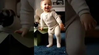 cat in box and baby ,mandu #catlove #cat #catvideos #catinbox