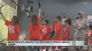 Registration open for spring break camp at Biopark