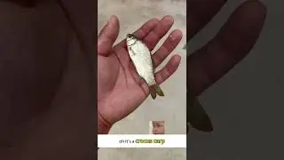 The Ingenious Tricks of Drone Fishing#云澜智能 #伽蓝说说#Drone#Angling