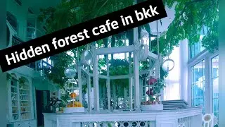 HIDDEN FOREST CAFE! IN BANGKOK THAT YOU MUST VISIT !!!
