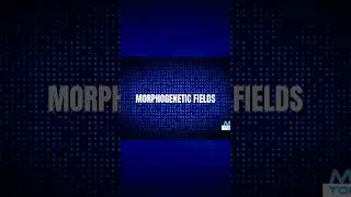 Unlocking the Secrets of Morphogenetic Fields #morphicfield #morphicfields  #science #energyfields
