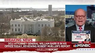 Congressman Cohen discusses the Mueller Report with Alex Witt 03.23.19