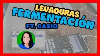 Fermentaci&oacute;n &iquest;exerg&oacute;nica o enderg&oacute;nica? | Laboratorio de Biolog&iacute;a | ft. Casio Mexico