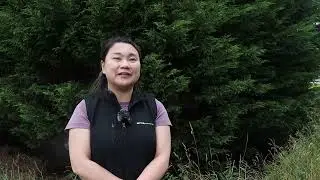 Assessing River Ecosystems
