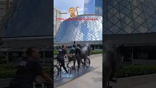 Toronto Canada David Pecaut Square #Toronto #canada #viral #David #PecautSquare