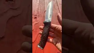 Buck 863 Selkirk #knifereview #edcknife #shorts