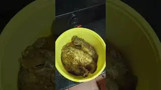 aj rat e office theke fire ki ki ranna holo