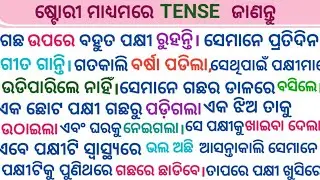 Tense with Story || Translating Odia Sentences into English || ଷ୍ଟୋରୀ ମାଧ୍ୟମରେ TENSE ଜାଣନ୍ତୁ ##