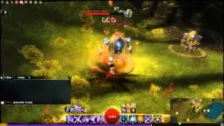 ArenaJunkies: Elementalist Support - Offensive Rolling