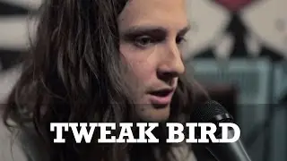 Tweak Bird 