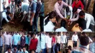 MIT Polytechnic Rotegaon