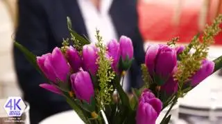 Видео в формате 4K- демо версия