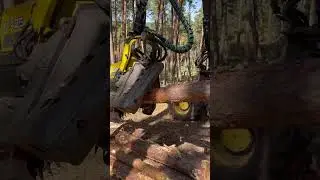&ldquo;Precision and tecnology:Machine in action cutting wood&rdquo; #harvester #johndeere#forest #treeshunter