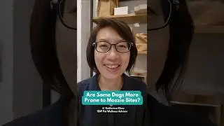 Are Some Dogs More Prone to Mosquito Bites?