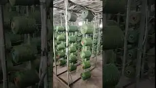 Factory wholesale artificial grass carpet, realistic & durable for home&outdoor@CARPET @GRASS