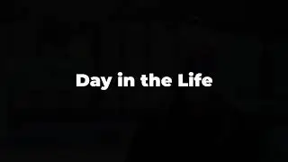 A Day in the Life of a Marine Mammal Caretaker