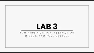 Lab 3: PCR Visualization, Restriction Digest, and Pure Culture