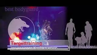 Targettraining Hund und Konflikttraining