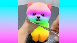 1 Hour Oddly Satisfying Video that Relaxes You Before Sleep - Most Satisfying Videos 2020
