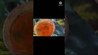 Sembaruthi tea/Hibiscus health drink/natural botox- anticancerous properties recipe in tamil