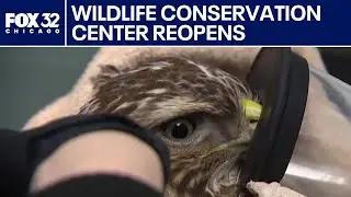 DuPage County reopens wildlife conservation center to the public