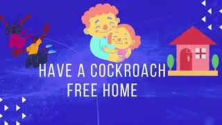 Harmless and Effective Cockroach spray | EAZYDIY Natural Cockroach spray to get rid of cockroaches