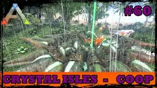 ARK CRYSTAL ISLES COOP #60/BOSS - WYVERN QUEEN GAMA/GAMEPLAY/HOST SOLO