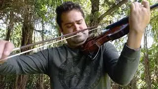 Hino 17 O Senhor, vem visitar-me