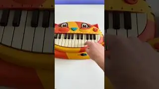 Catnap with REAL instruments!