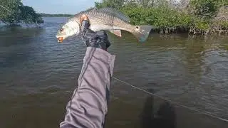Cold Weather Tactics that WORK in Matlacha, Florida on Old Town Autopilot 120.