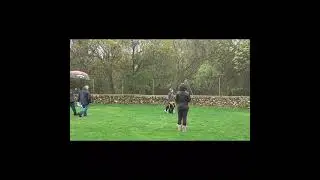 Obedience F.C.I. Class 3 (Debut) - Sheila & Mike