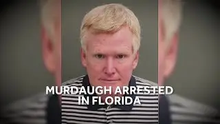 Murdaugh double murder case timeline