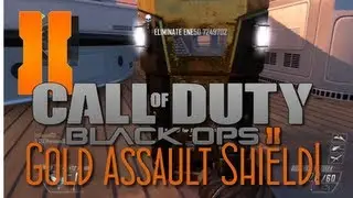 Gold Assault Shield! - 