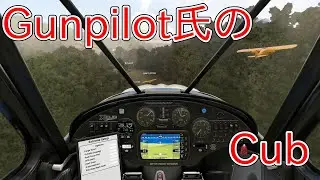 [MSFS]Gunpilot氏のランディング・チャレンジ(183)。カブでオーストラリア。Cub in Australia