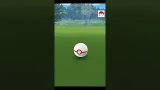 OMG! I Caught This Legendary Shiny ✨ Pokemon First Raid - Pokemon Go  - Season 11 - #Shorts