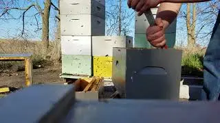 Rehiving a tall 