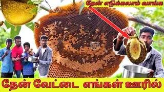 Honey Hunting|தேன் வேட்டை எங்கள் ஊரில்|then vettai 🐝 original honey | #ungal_village_paiyan
