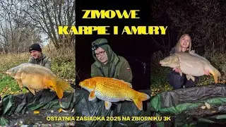 Zimowe karpie i amury, ostatni wyjazd 2025 na 3K - NLT.SKLEP.PL