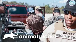 La cacería de patos obliga a controlar a cazadores | Guardianes de Texas  | Discovery Latinoamérica
